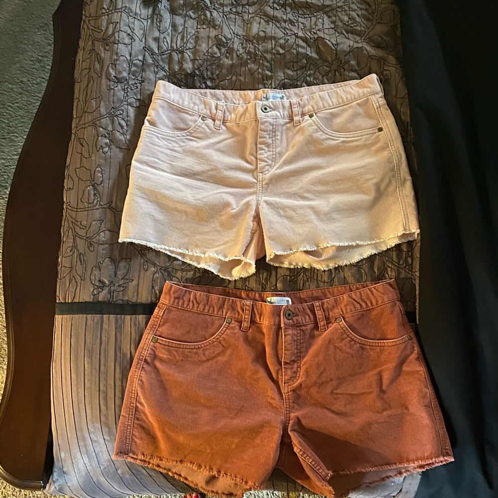 Carve Design Cord Shorts
